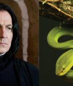 Salazar Slytherin dari Serial Harry Potter Jadi Inspirasi Nama Spesies Ular Baru