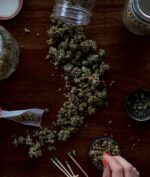Menteri Pertanian Tetapkan Ganja Sebagai Tanaman Obat Binaan
