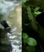 Video 'Kuntilanak Mandi' Viral di TikTok, Begini Penampakannya!
