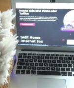 Akses Internet Gratis Selama 18 Tahun Diberikan Untuk Bayi Baru Lahir, Apa Alasannya?