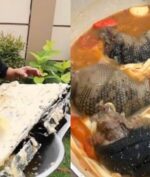 Bobon Santoso, YouTuber yang Masak Ular, Kaki Biawak Hingga TV untuk Konten