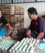 Telur Asin 'Brebes' Jadi Warisan Budaya Tak Benda, Apa Alasannya?