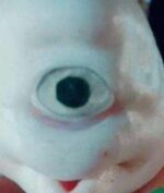 Hiu Bermata Satu Ditemukan di Maluku, Wujudnya Mirip Dajjal (Dadang Pattikaloba via Kompas.com)