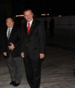 Kucing Penghuni Hagia Sophia Mati Setelah Dirawat Intensif