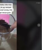Jin Minum Kopi? Mitos atau Fakta? Kopinya Arabica apa Robusta?