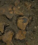 Makam Purba Berusia 8.000 Tahun Ditemukan di NTT, Ini Isinya! (Foto: Australian National University)