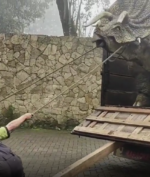 Dinosaurus Magetan Viral di Media Sosial, Muncul Dari Mana?