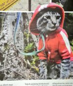Kucing Hobi Naik Gunung dan Flying Fox, Gimana Ceritanya?