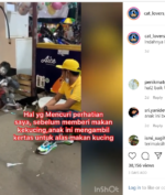 Kasih Makan Kucing Jalanan Dari Penghasilannya, Bocah Silver Ini Rela Menahan Lapar!
