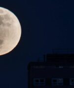 Bulan Purnama "Cold Moon" Akan Dapat Terlihat dari Indonesia, Catat Tanggalnya!
