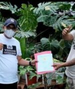 Tanaman Hias Ditukar Rumah Seharga IDR 500 Juta