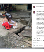 Jagal Kucing medan