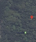 Tanda SOS Muncul Dekat Lokasi Kecelakaan Sriwijaya Sj 182, Kecelakaan Basarnas Tak Temukan Apapun
