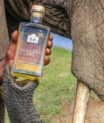 Minuman Alkohol Ini Dibuat dari Saringan Kotoran Gajah