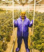 Jual Ganja, Mike Tyson "Si Leher Benton" Raup Untung 7 Miliar Sebulan!