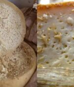 Keju Casu Marzu