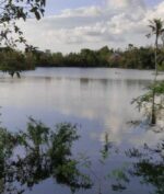 Kemunculan Danau Baru di Kupang Bikin Heboh, Ini Penjelasan Para Ahli Terkait Fenomena Itu!