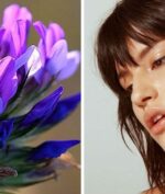Bakuchiol, alternatif retinol untuk kulit sensitif