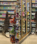 Kadal Raksasa Masuk Supermarket dan Mengubrak-Abrik Isi Toko, Videonya Viral di Media Sosial