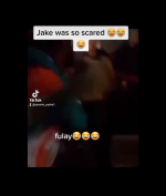 Jake Paul Kena Bogem Mayweather Usai Kericuhan Konfrensi Pers, Begini Respon McGregor