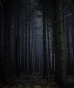 Terowongan Gaib Hutan Blora, Bus Tersasar ke Desa Adat Misterius