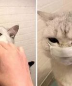 Orang-Orang Ketergantungan Pakai Masker, Bahkan Setelah Pandemi? Ini Kata Peneliti!