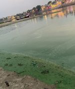 Sungai Gangga Jadi Hijau, Warga India Panik! Apa Penyebabnya?
