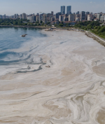 Begini Penampakan 'Ingus Laut' di Laut Marmara, Gara-Gara Perubahan Iklim?
