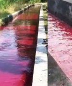 Sungai di Klaten Mendadak Jadi Warna Merah, Apa Penyebabnya?