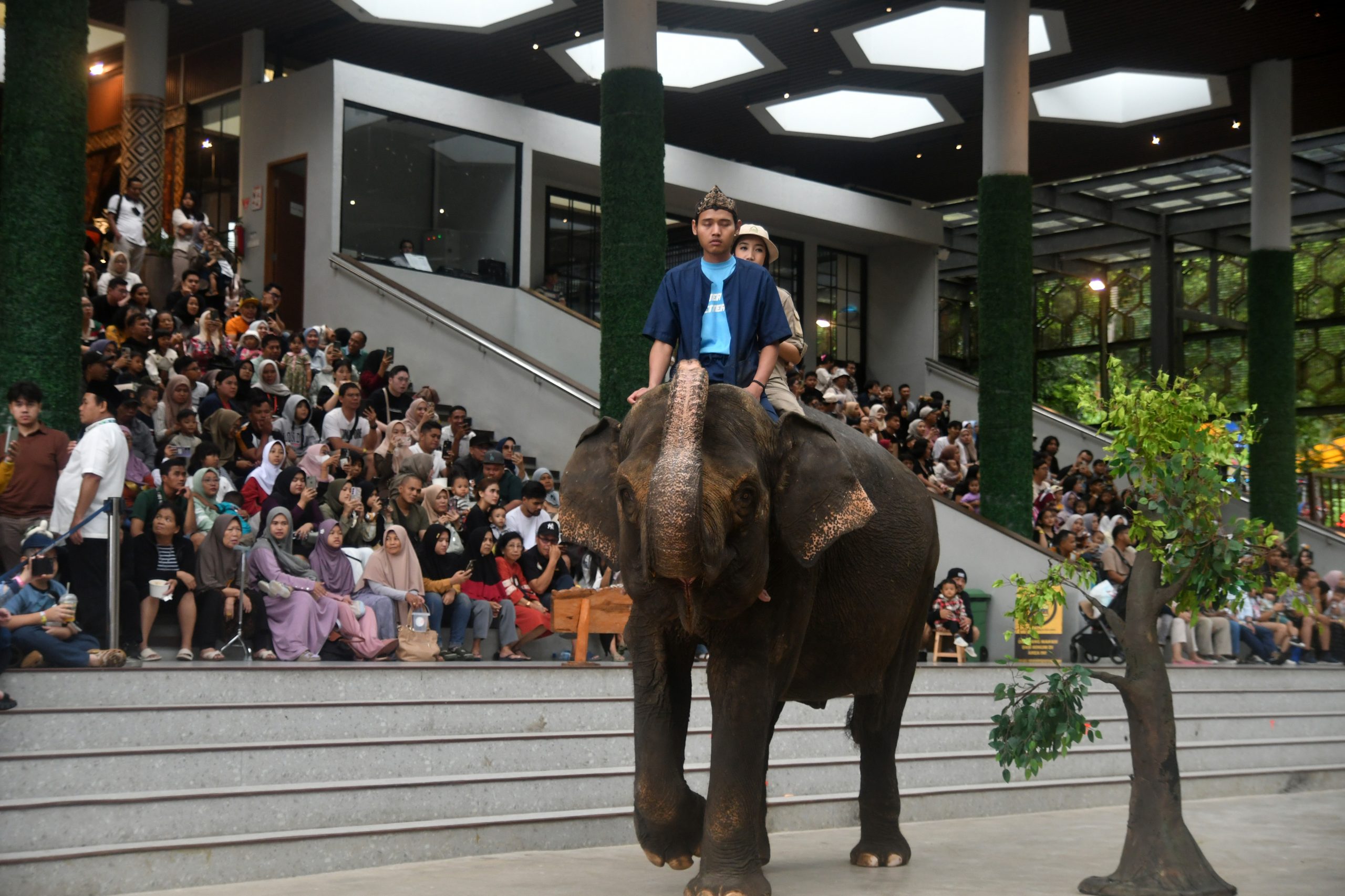 Kasus Mantan Pemain Sirkus Taman Safari Indonesia Ngaku Disetrum hingga Dipaksa Makan Kotoran Hewan Sejak 1970